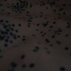 Meet your Posher, Hazel